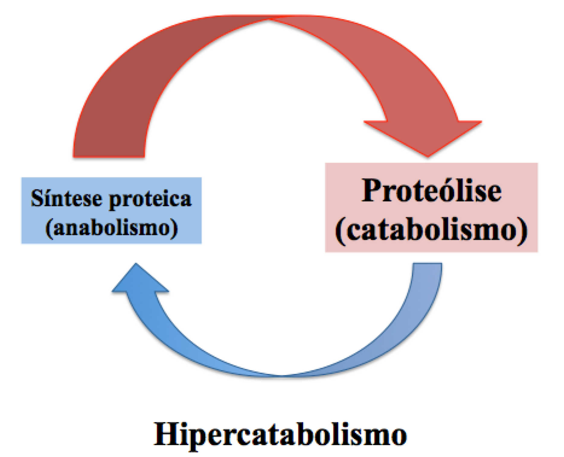 Prescrição de exercício e câncer prescricao-de-exercicio-e-cancer-00