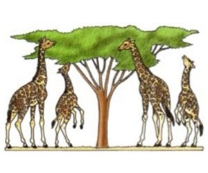 coopetição pequena-coopetição-2