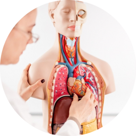 por-que-fazer-enfermagem-em-cardiologia-e-hemodinamica Enfermagem em Cardiologia e Hemodinâmica