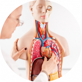 por-que-fazer-enfermagem-em-cardiologia-e-hemodinamica Enfermagem em Cardiologia e Hemodinâmica